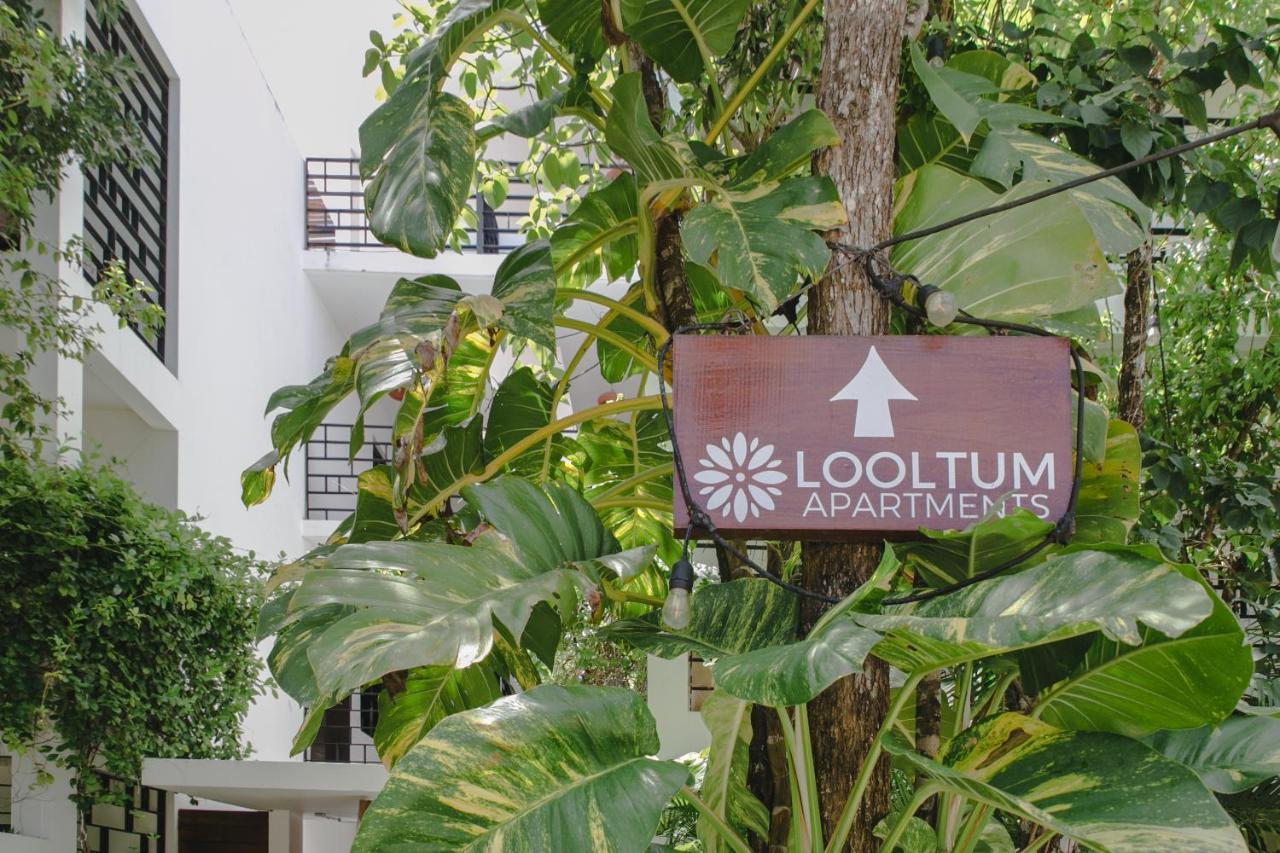 Ferienwohnung Lumina At Looltum Tulum Exterior foto