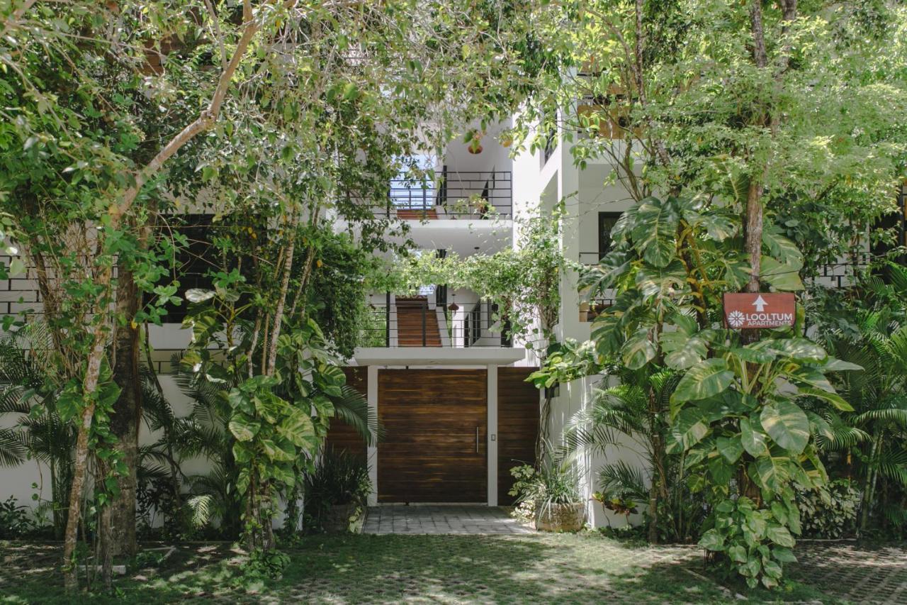 Ferienwohnung Lumina At Looltum Tulum Exterior foto
